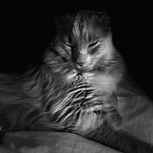 Meet your Posher, Kim - Picture 8 of 10